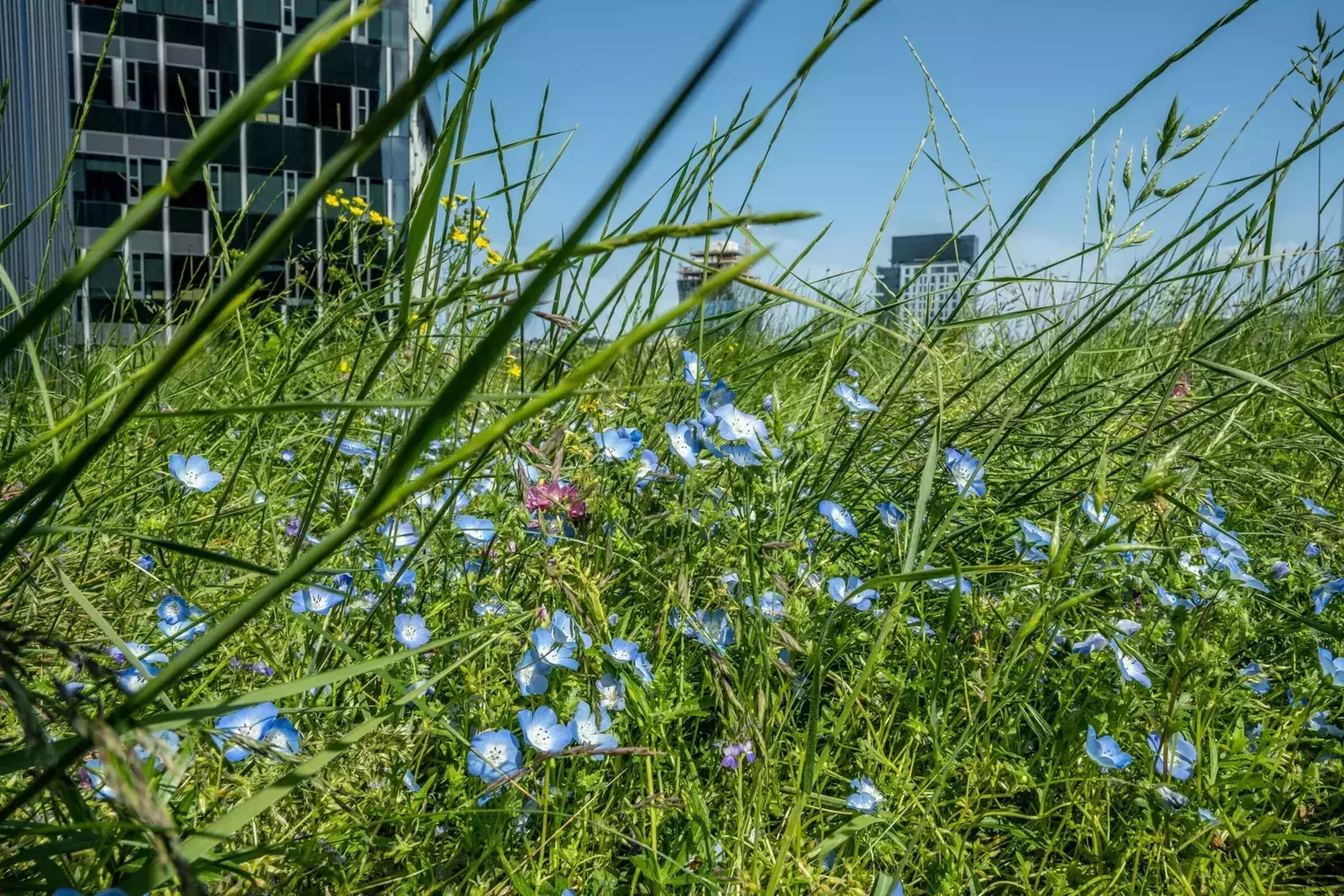 06212023 grow 170444