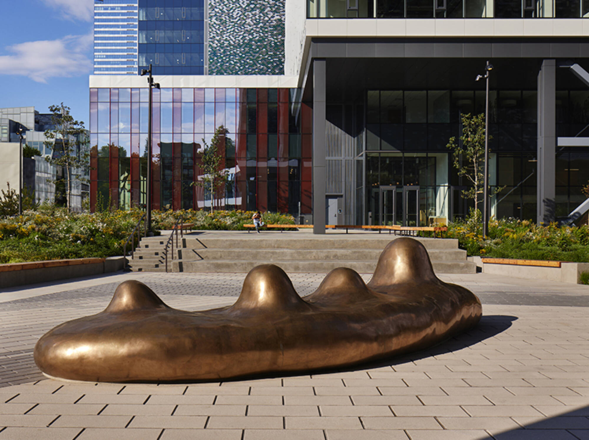 Vnbp P 011 Lo Benschneider web crop