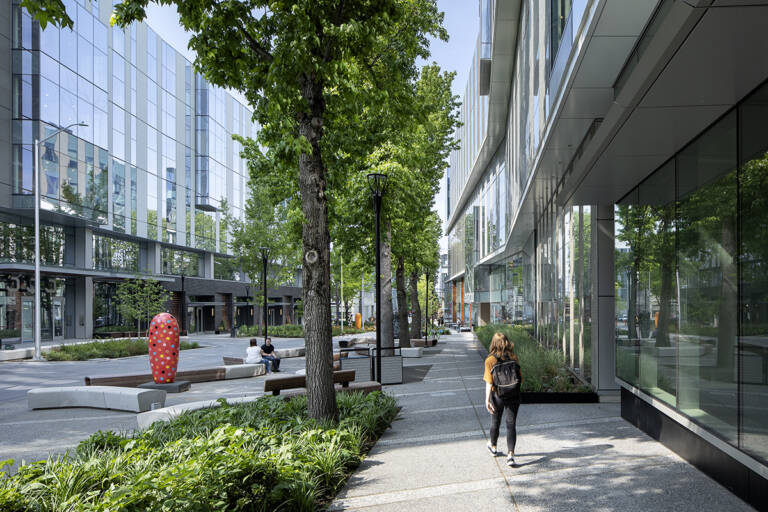 Vnab P 008 Lo Bittermann