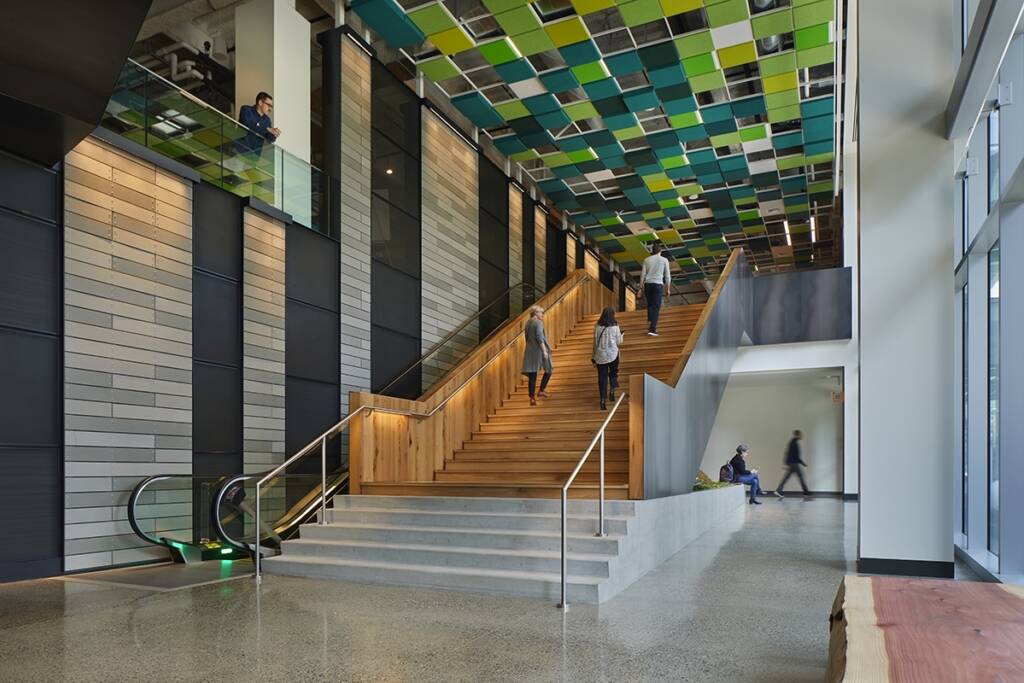 Graphite Design Group Amazon Frontier COE/COA