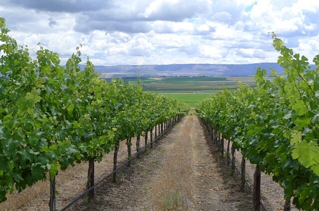 UNADJUSTEDNONRAW thumb 775 2