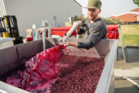 Tyler Williams - Winemaker