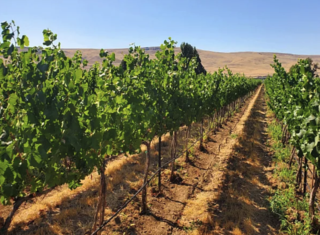 Screen Shot 2021 04 08 at 1 19 39 PM